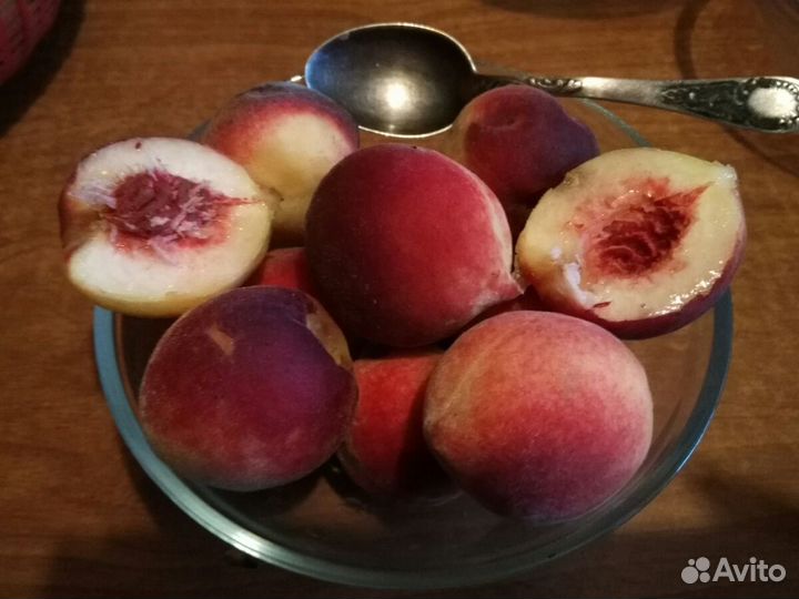 Саженец персика