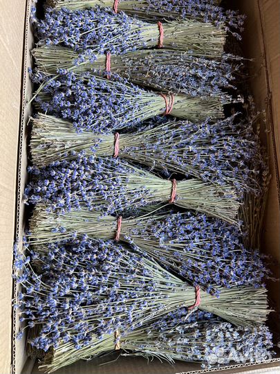 Букетики лаванды / пучки лаванды