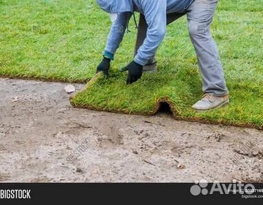 Гидропосев