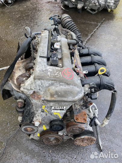 Двигатель 1ZZ-FE Toyota Avensis ZZT251 ZZ-5563122