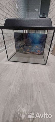 Аквариум