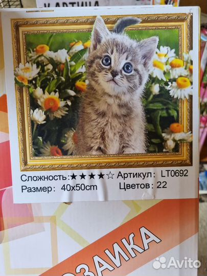 Алмазная мозаика 5D