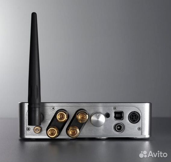 Интегральный усилитель Chord Electronics Maxx blac