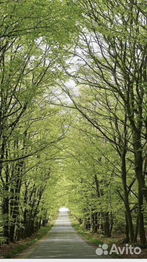 Картины наборы алмазная мозаика