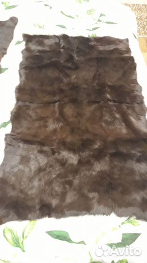 Шкурка семейства куниц