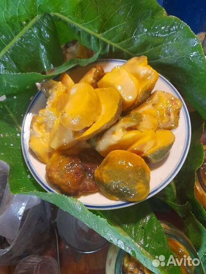 Белый боровой гриб. Сырой груздь. Опята