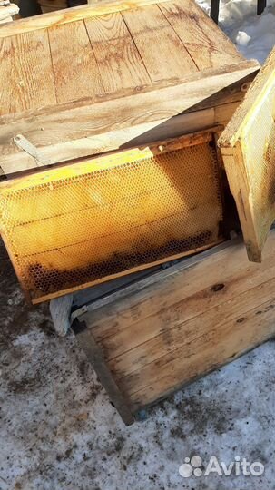 Улей и сушь для пчел