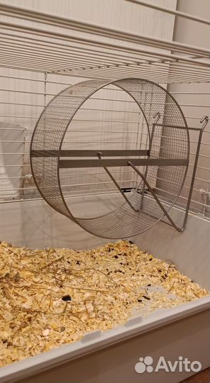 Колесо для грызунов