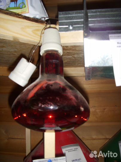 Инфракрасная лампа