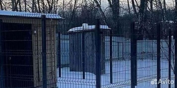 Забор из 3Д сетка для вольеров