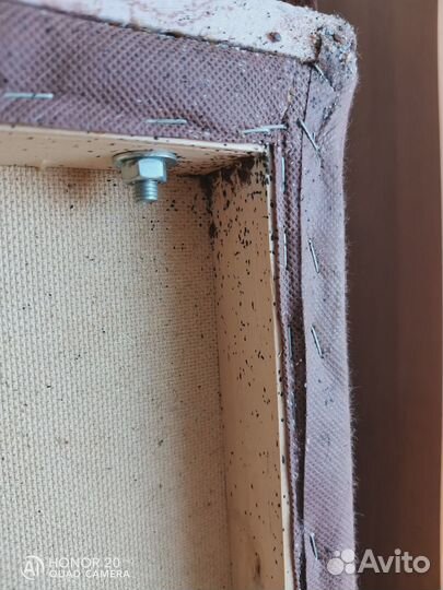 Дезинфекция от насекомых. Клопы, тараканы, клещи