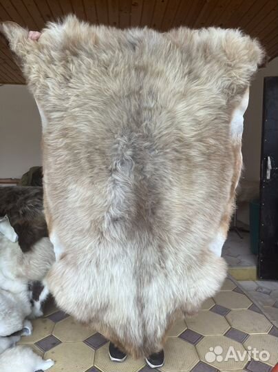 Отличный подарок ковер из натурального