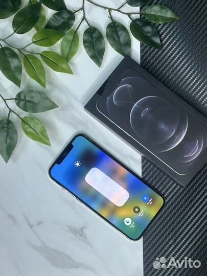 iPhone 12 Pro Max, 256 ГБ