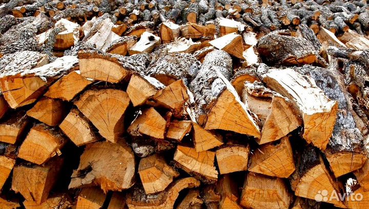 Дрова со Всеволожска