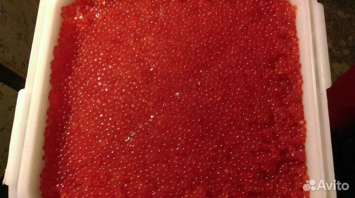 Красная икра кижуч