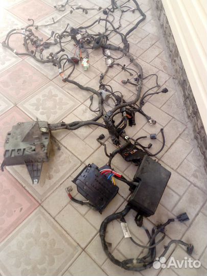 Проводка моторная Форд Фокус 3 Ford Focus III 2.0л