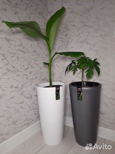 Горшки, кашпо, чаши