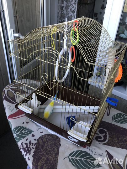 Клетка для попугая