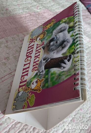 Развивающие карточки машины дикие животные книга