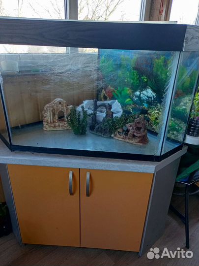Аквариум 200 литров с тумбой
