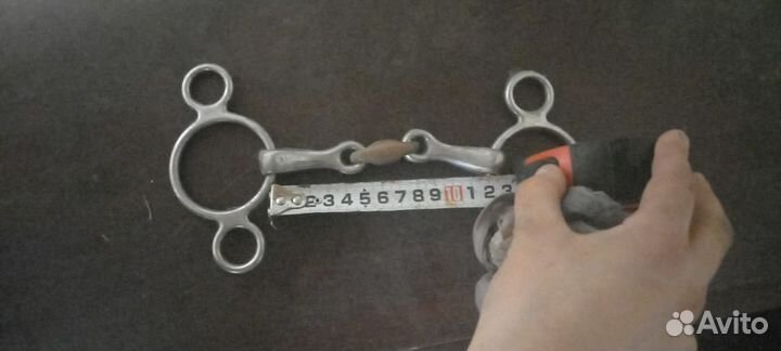 Амуниция: уздечка, бинты, ногавки и пр