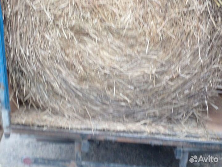Сено солома в рулонах