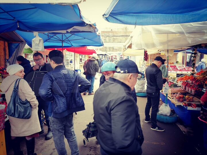 Место под фрукты И овощи, 6 м²