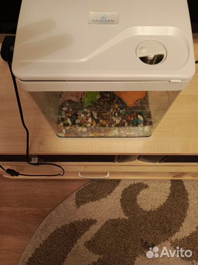 Аквариум для рыбок