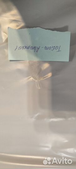 Вещи для Tatiana Abramova1