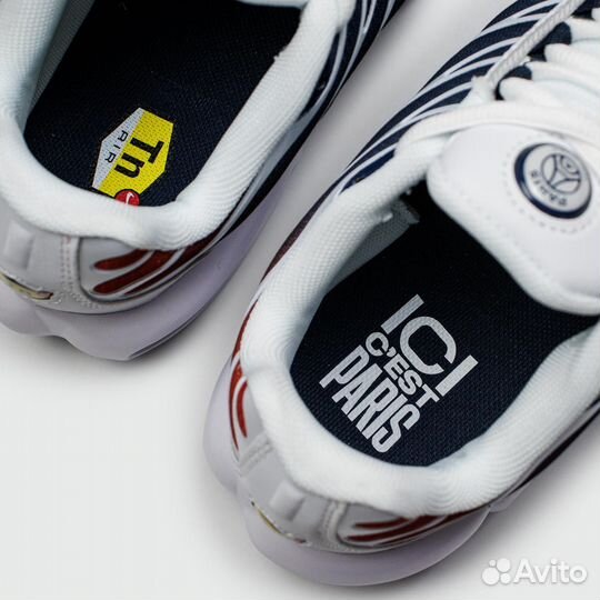 Nike Air Max Plus Tn Blue Grey