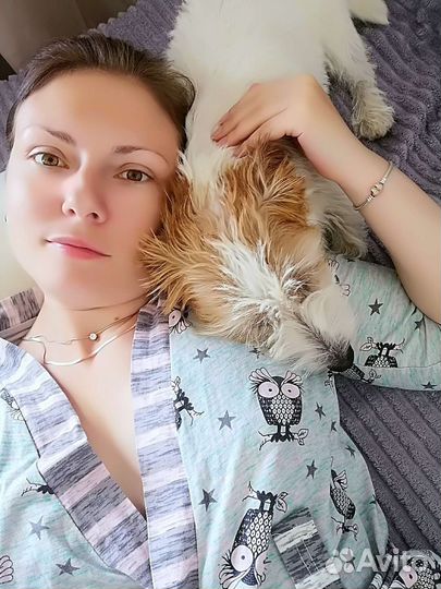 Передержка животных