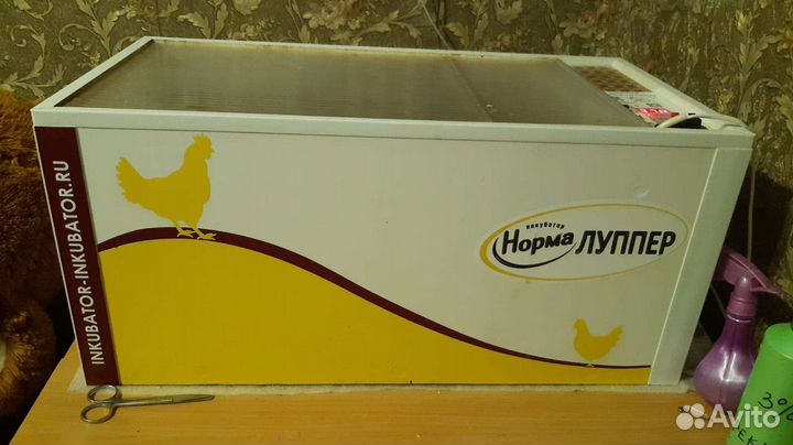 Инкубатор norma луппер