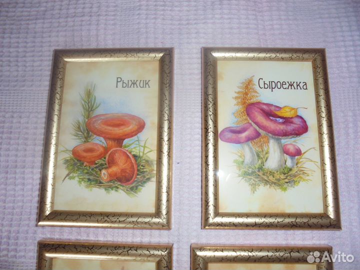 4 панно 12х17 золотая рамка стекло Грибы