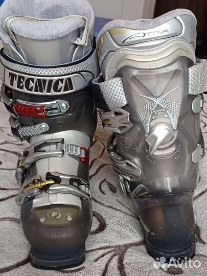 Горные лыжи