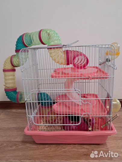 Сирийский хомяк девочка с клеткой