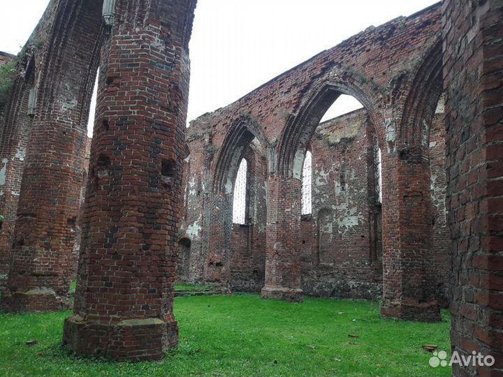 Экскурсия — Калининград — Замки икирхи Тевтонского