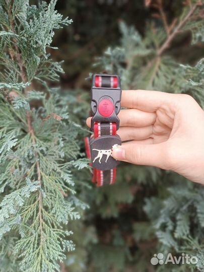 Ошейник для собак