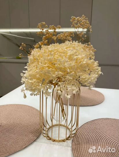 Гортензия стабилизированная