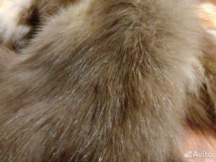Мех куницы