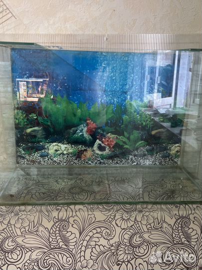Аквариум 45 л;60л;70л б/у