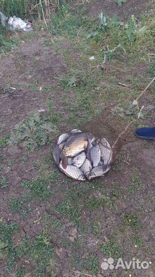 Рыбалка снасть удилище