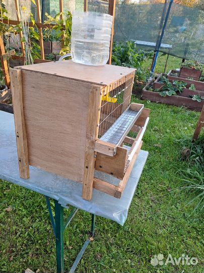 Клетка для 5 шт перепелов