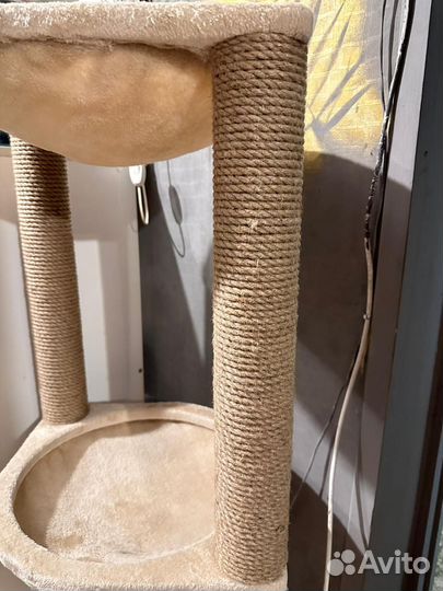 Когтеточка