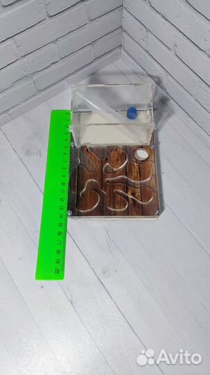 Муравьиная ферма формикарий