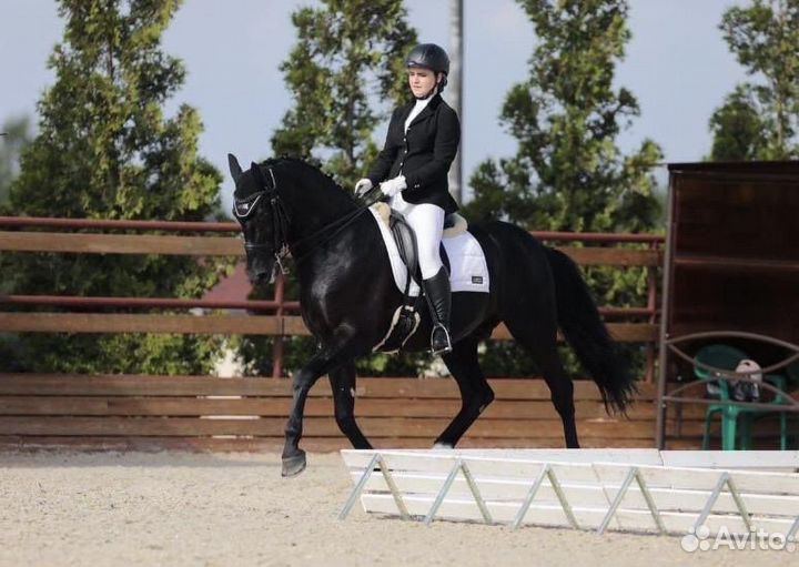 Занятия верховой ездой/выездка/берейтор
