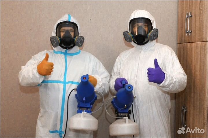 Уничтожение клопов, тараканов, Дезинфекция