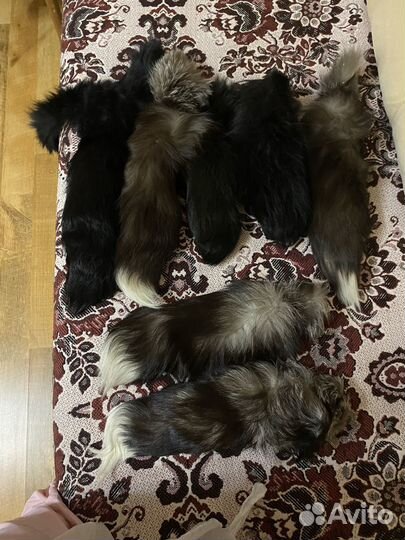 Хвосты натуральные