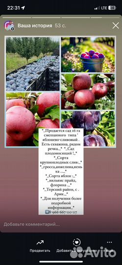 Плодоносящий сад