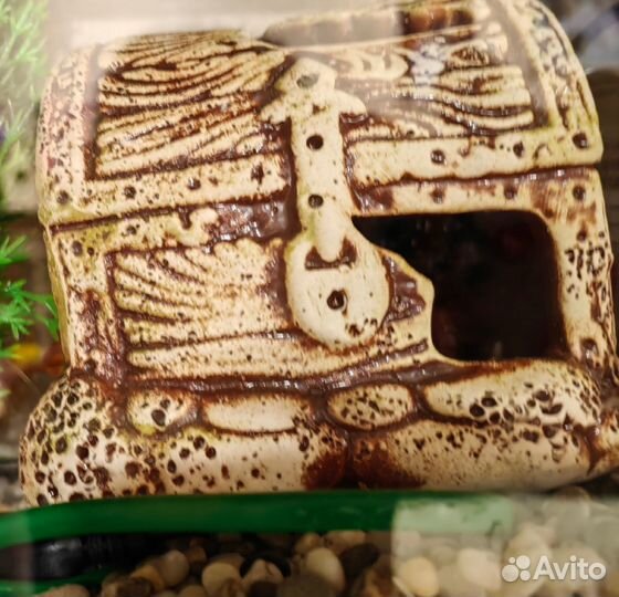 Аквариум 10л