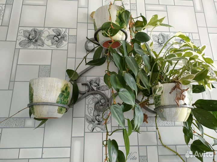 Комплект: цветочницы+цветы+горшки